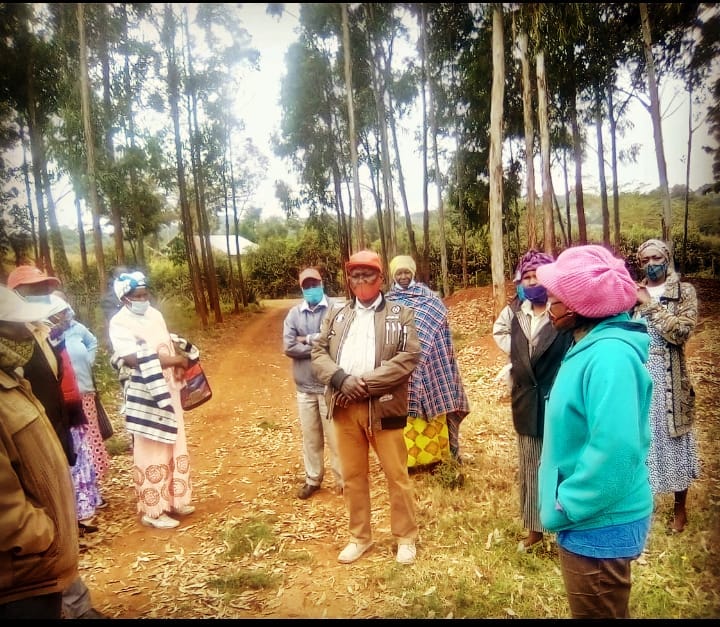 Community celebration